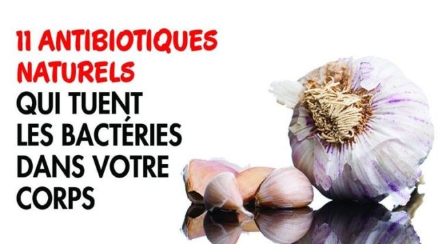 11-antibiotiques-naturelles-qui-tuent-les-bactéries-dans-votre-corps-1-2-1200x667
