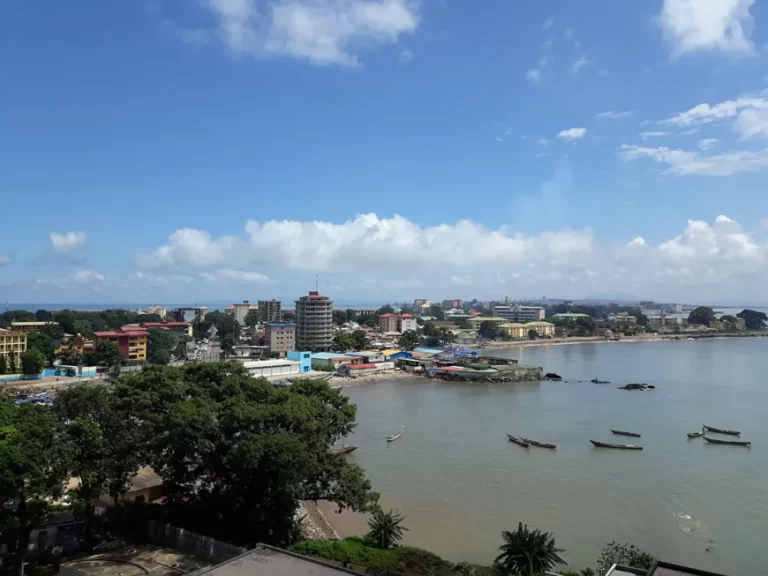 Les-5-principaux-ports-en-Guinee-768x576