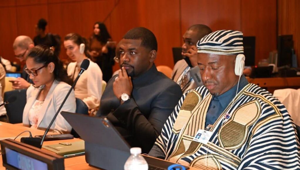 « Du 14 au 16 avril 2026, j’ai eu l’honneur de représenter la Guinée au Forum des jeunes de l’ECOSOC, au siège des Nations Unies à New York, autour du thème : « Innover, s’unir et transformer : les jeunes façonnent la route vers 2030 », Cellou Baldé