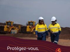 Accélérer la lutte contre le paludisme pour un avenir plus sain et plus équitable », SimFer