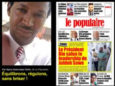 Équilibrons, régulons, sans briser ! (Par Alpha Abdoulaye Diallo)