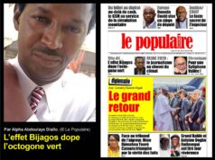 L’effet Bijagos dope l’octogone vert (Par Alpha Abdoulaye Diallo)