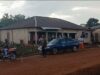 Mali/Guinée: Un citoyen porte plainte contre un chauffeur qui a accidentellement heurté son animal !