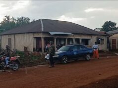 Mali/Guinée: Un citoyen porte plainte contre un chauffeur qui a accidentellement heurté son animal !