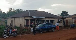 Mali/Guinée: Un citoyen porte plainte contre un chauffeur qui a accidentellement heurté son animal !