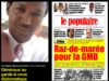 Généraux au garde-à-vous diplomatique (Alpha Abdoulaye Diallo)