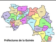 Nous ne jurons que sur la Constitution (Par Alpha Abdoulaye Diallo)