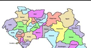 Nous ne jurons que sur la Constitution (Par Alpha Abdoulaye Diallo)