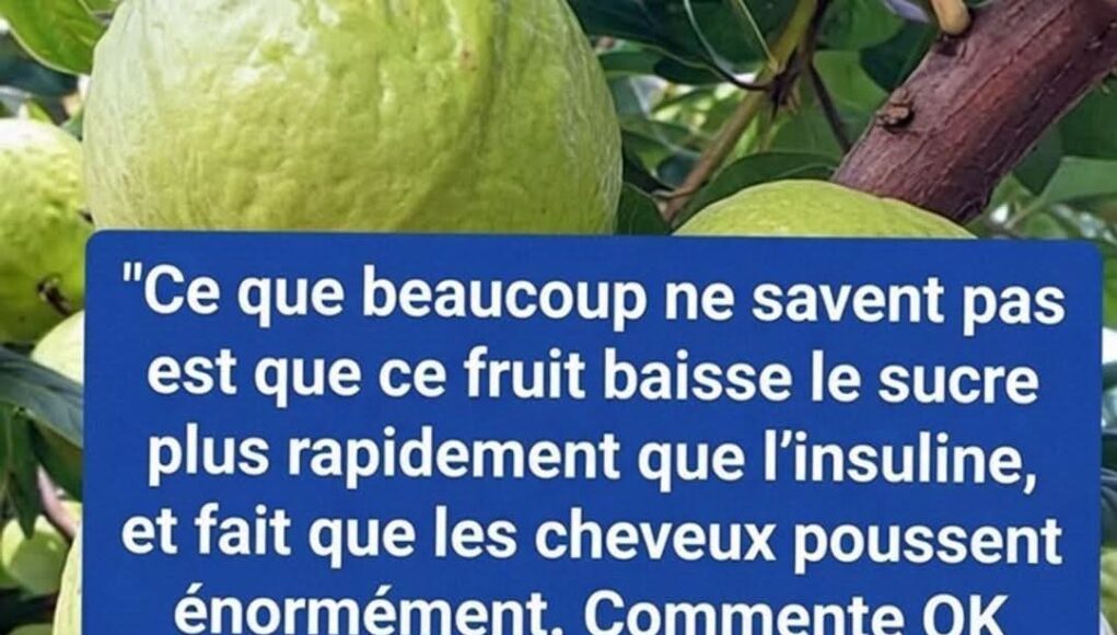 La goyave, alliée méconnue contre le diabète ( santé)