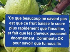 La goyave, alliée méconnue contre le diabète ( santé)