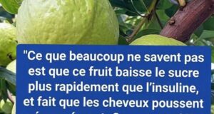 La goyave, alliée méconnue contre le diabète ( santé)