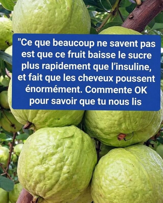 FB_IMG_1787520886718