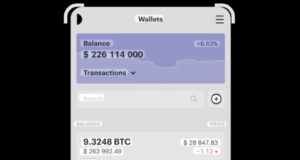 Cryptomonnaies en Guinée : la grande illusion des gains faciles vire au cauchemar pour de nombreux épargnants