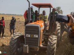 « Nourrir la Guinée, c’est bâtir son avenir : l’urgence de faire de l’agriculture une priorité nationale »