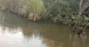 Mamou : un véhicule plonge dans le Bafing à Dounet, un passager porté disparu