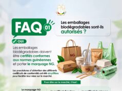 Plastique jetable : ce qui disparaît et ce qui reste autorisé en Guinée