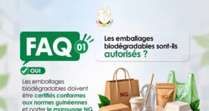 Plastique jetable : ce qui disparaît et ce qui reste autorisé en Guinée