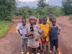 Route Koundara (Guinée)-Linkering (Sénégal): un trajet devenu enfer pour passagers et chauffeurs !