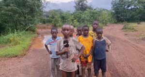 Route Koundara (Guinée)-Linkering (Sénégal): un trajet devenu enfer pour passagers et chauffeurs !