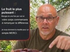 Les dattes suscitent de plus en plus l’intérêt des consommateurs soucieux de leur alimentation et de leur bien-être…